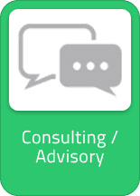 Consulting / Advisory