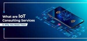 What are IoT Consulting Services